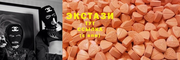 твердый Козельск