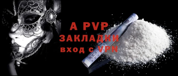 твердый Козельск