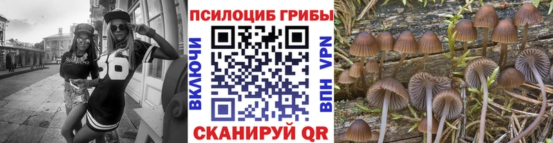 Галлюциногенные грибы мицелий  нарко площадка как зайти  Красновишерск 